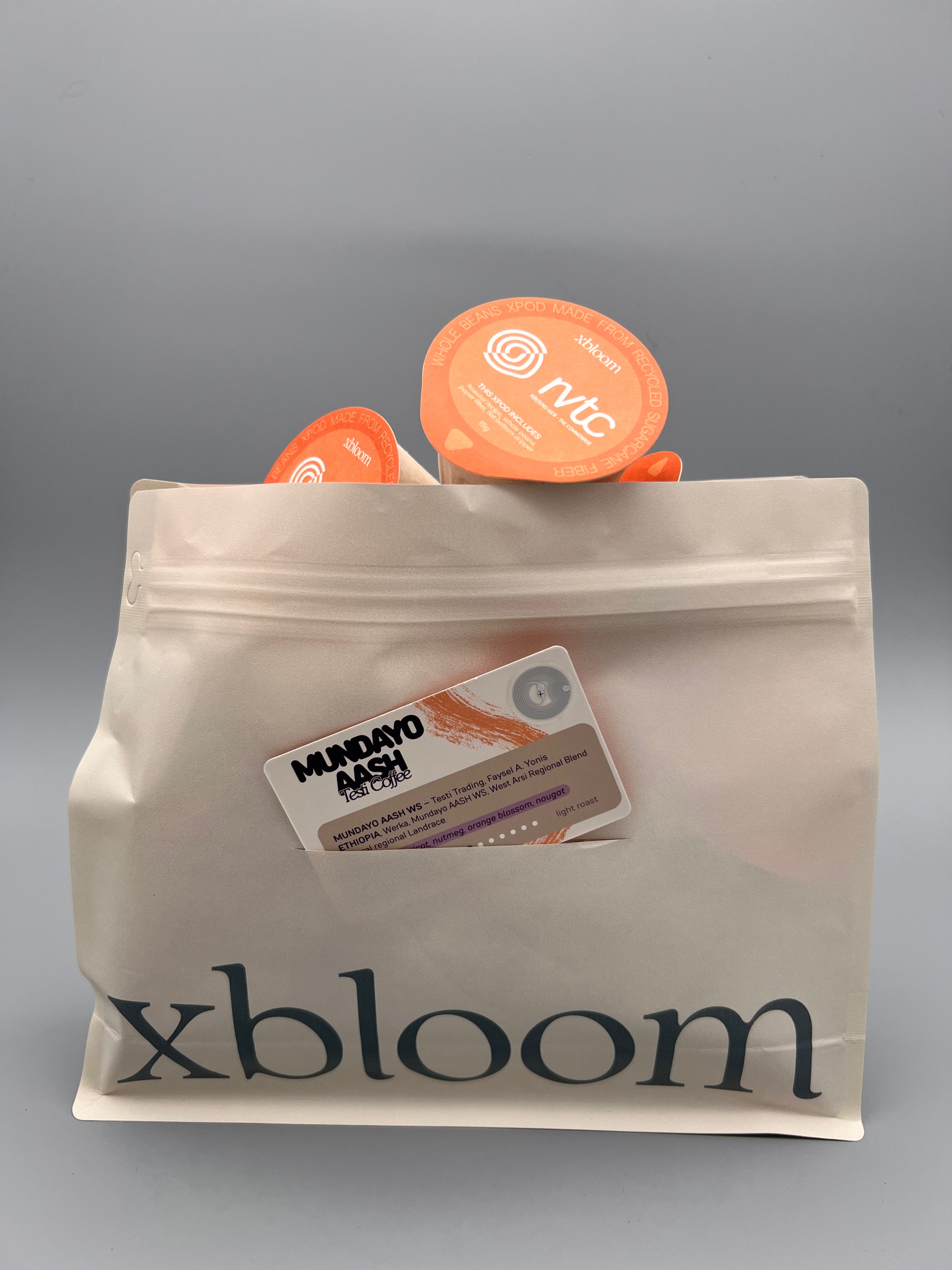 Mundayo AASH Testi Coffee xPods